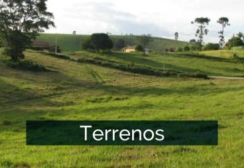 Terrenos